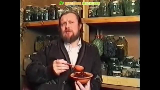 Брусника. Полезные и опасные свойства и применение листьев брусники в народной медицине