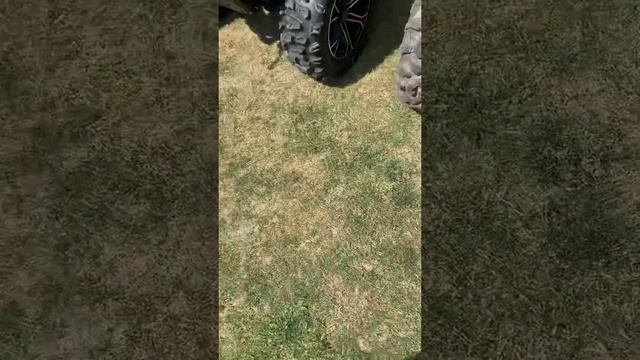 Cfmoto Cforce 1000 overland vs cforce 800 comparison!