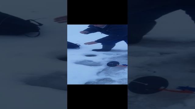 ловим рыбу