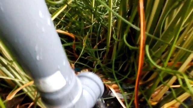 Прозрачный пруд. Просто добавьте дождевой воды и пруд будет прозрачен на всю глубину..mp4