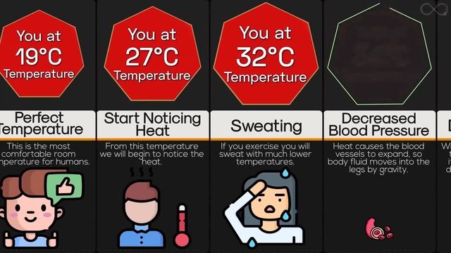 Comparison: You At Different Temperatures