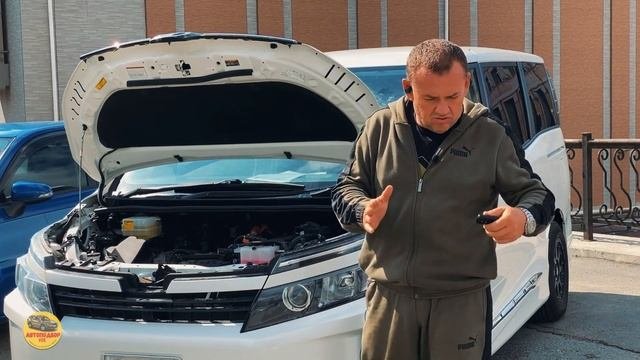 На что обращать внимание перед покупкой гибрида❓