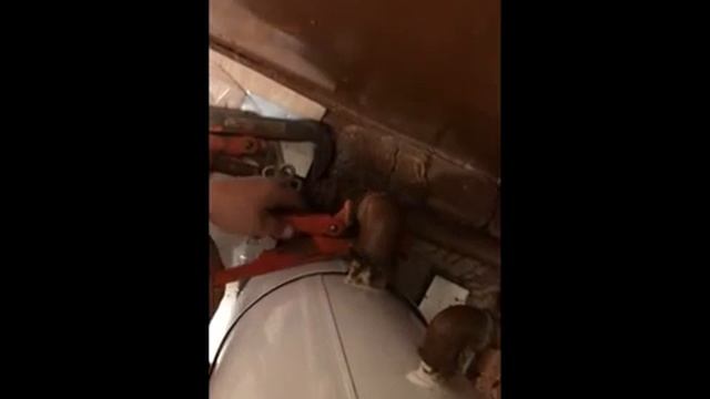 Замена котла АОГВ 11 6 кВт