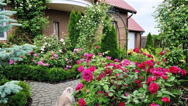 ?Сад - в котором уютно и комфортно Идеи для вдохновения / Garden ideas for inspiration / A - Video