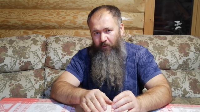 Гадюка заползла в дом. Что делать?
