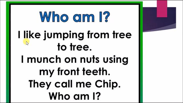 Animal riddles