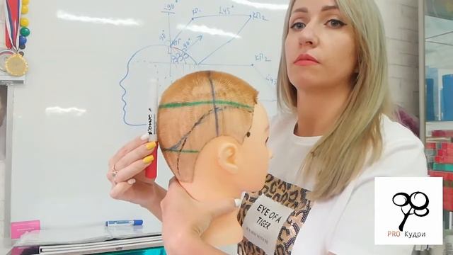 Прогрессивная форма/диагональная линия