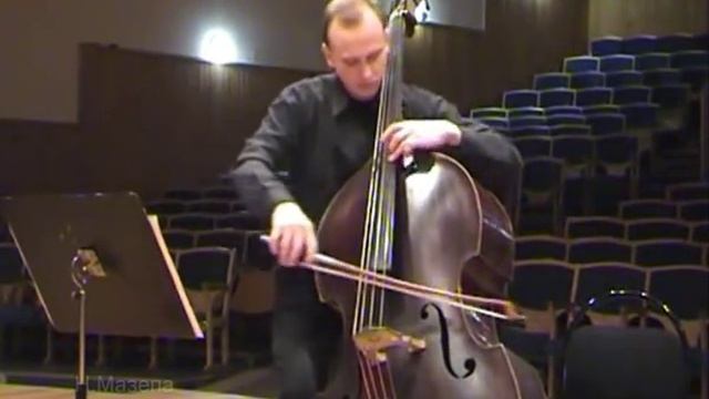 Струнные смычковые музыкальные инструменты