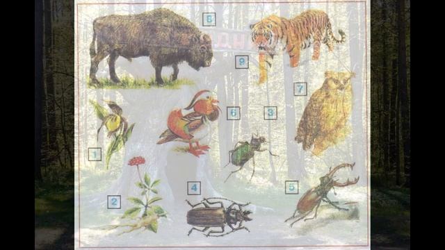 Окружающий мир 4 класс ч.1, тема урока "Лес и человек", с.103-109, Школа России