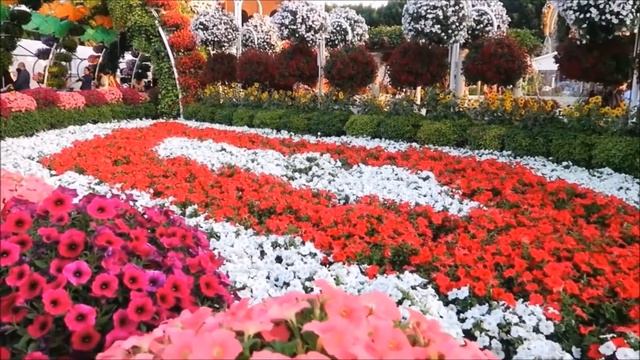 Парк цветов в Дубае? (Dubai Miracle Garden)  Цветущий оазис в пустыне.???