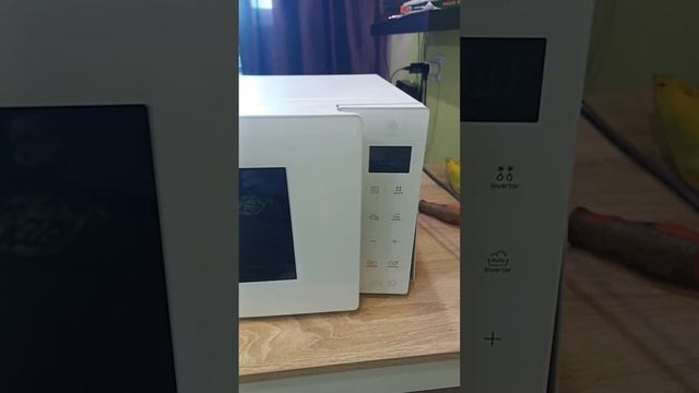 Ремонт магнетрона 2M286 21TBGS