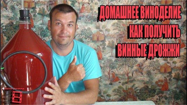 ДОМАШНЕЕ ПЛОДОВО-ЯГОДНОЕ ВИНОДЕЛИЕ ПРОСТО. КАК ПОЛУЧИТЬ САМОСТОЯТЕЛЬНО ВИННЫЕ ДРОЖЖИ. ВИНО ИЗ МАЛИНЫ