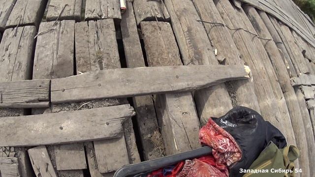 Полный ручей Сибирских сазанов. Рыбалка на кастинговую сеть. Руки болят от этих сазанов.