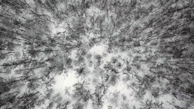 Beautiful Russian winter