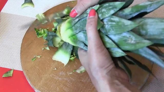 Как укоренить ананас в домашних условиях