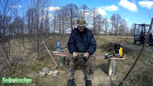 Сколько голов КРС можно держать в лпх