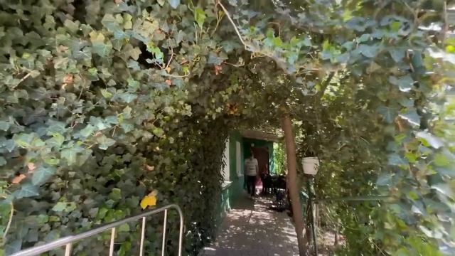 ЭТО ЧТО-ТО! Люся доверяет мыть свою звездную О’ПУ только Владу!