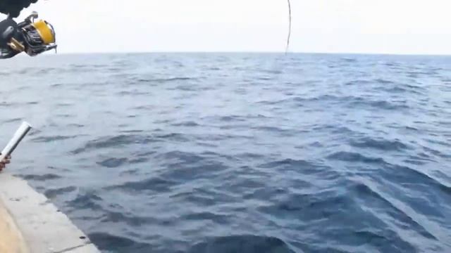 Ахота на рыбалку