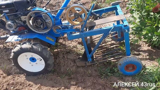 самодельная картофелекопалка и мотоблок нева творят чудеса.20