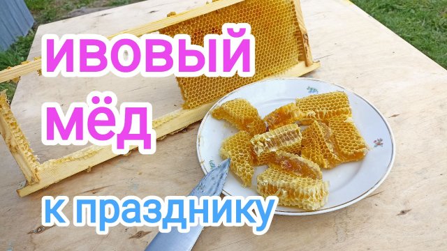 Ивовый, апрельский, сотовый, монофлерный МЁД. К празднику!