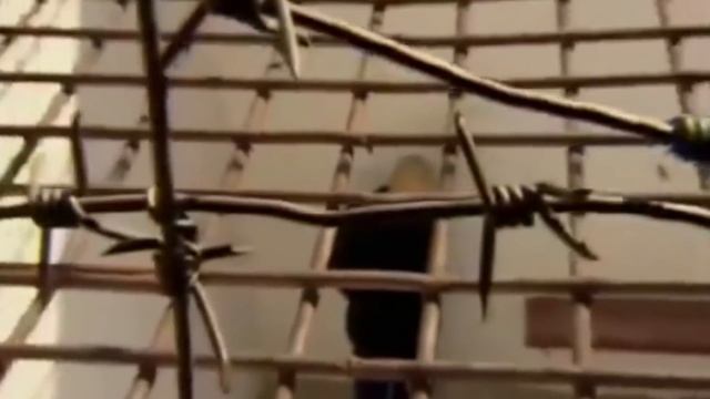 Максим Апрель - ЭТО СОН