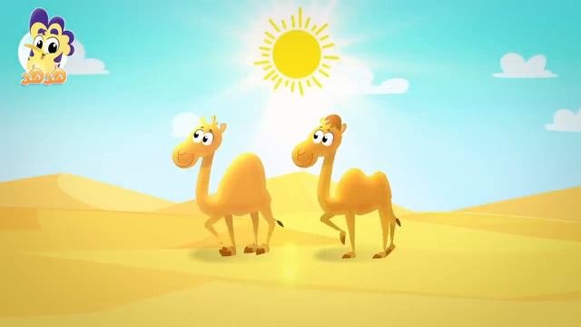 أغنية جمل Песня верблюда