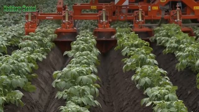 СУПЕР Технология выращивание КАРТОФЕЛЯ СТО ТОН С ОДНОГО ГЕКТАРА!!!!