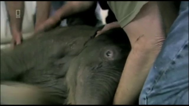 Cerrone of Supernature, Impressions