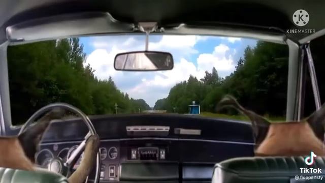 сериал про шлёпу «сбежавший»