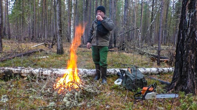 Медвежья захоронка. Глухари под собакой. Прочистка путика. Жит-быт в избушках.