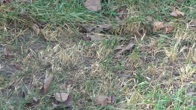 STIGA SV 415 E. Aerators (elektriskais) . Agronet.lv