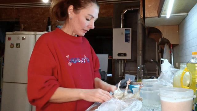 Перепела в клетках.Режу перепелов и старых,и молодых.Чищу,потрошу