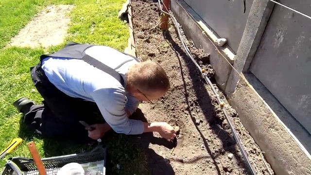 ??Прививка винограда в штамб весной. Прививка винограда весной