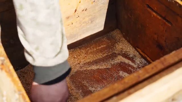 ЖИЗНЬ В УРАЛЬСКОЙ ДЕРЕВНЕ _ БОЛЕЗНЬ _ ПЧЕЛЫ _ ОГОРОД