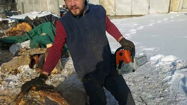 Бензопила Stihl 361 шина 60см пилим толстый тополь