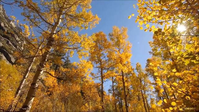 Галина Хомчик - "Осень"