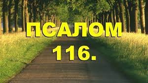 ✞Псалом 116, Псалом Давиду✞