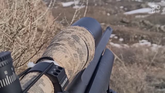 Охота на волка на Вабу 2020 ВКО