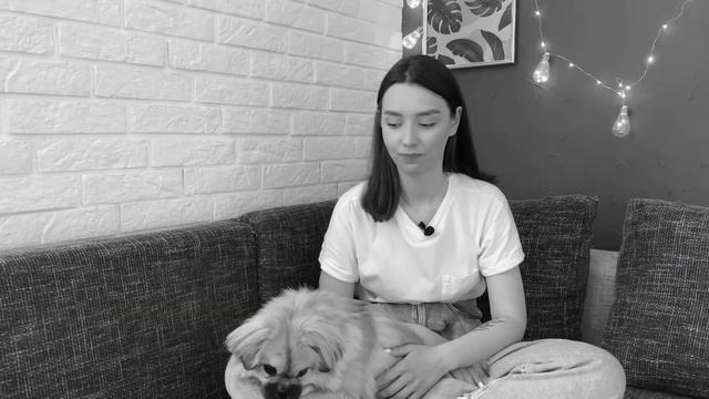 ПЕКИНЕС: личный опыт содержания  | Всё о собаке породы ПЕКИНЕС