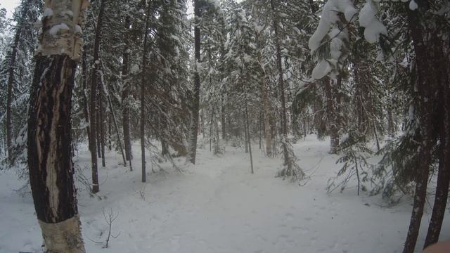 Испытание Секретной Приманки Из Тюбика | Охота На Соболя