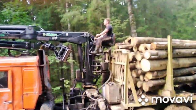 Как работают в лесу лесовозы. #ЛесовозыРабота