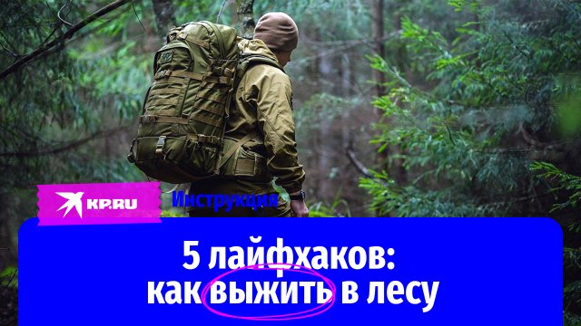 5 лайфхаков: как выжить в лесу