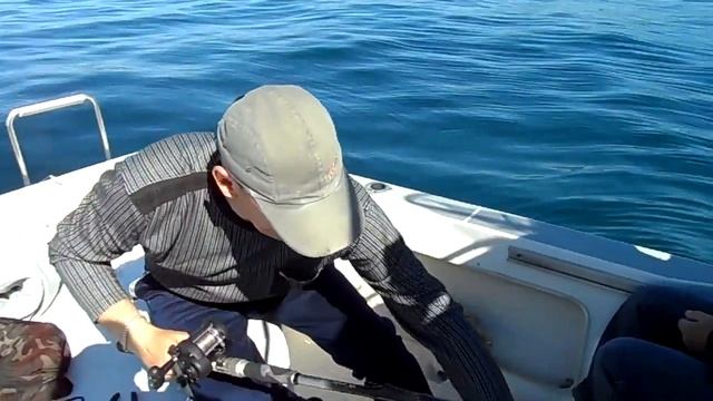 Морская рыбалка с катера в Уссурийском заливе (Владивосток): полный аквариум рыбы (камбала, минтай)