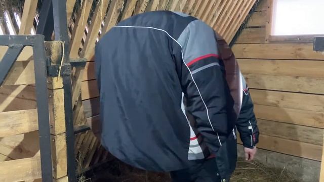 Сарай для коз и овец, зимний вариант