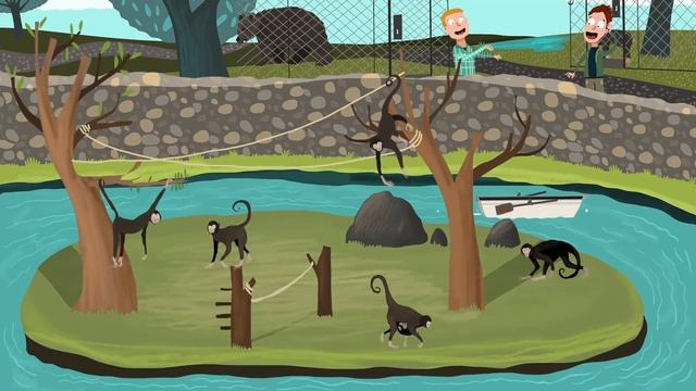 Животные, Сбежавшие Из Зоопарков