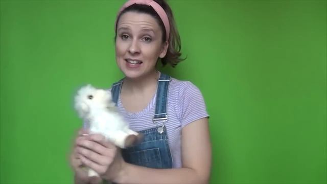 Old MacDonald Had A Farm + other Animal Songs Learning Songs for Toddlers Preschoolers Old McDonald