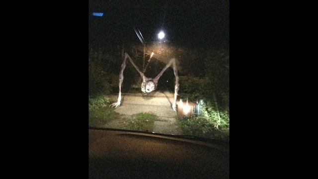 КТО ТАКОЙ country road creature?! МОНСТР ПРОСЁЛОЧНОЙ ДОРОГИ ТРЕВОР ХЕНДЕРСОН | TREVOR HENDERSON