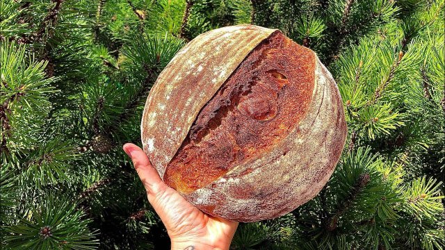 Гречневый хлеб на закваске. Не безглютеновый!