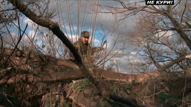 Охота на енотовидную собаку самоловами . 2018