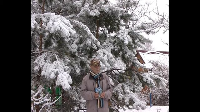Никола зимний